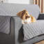 Mott Pet Sofa Cover Protector-661193908