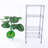 Joyal 13.8'' W Metal Shelving Unit