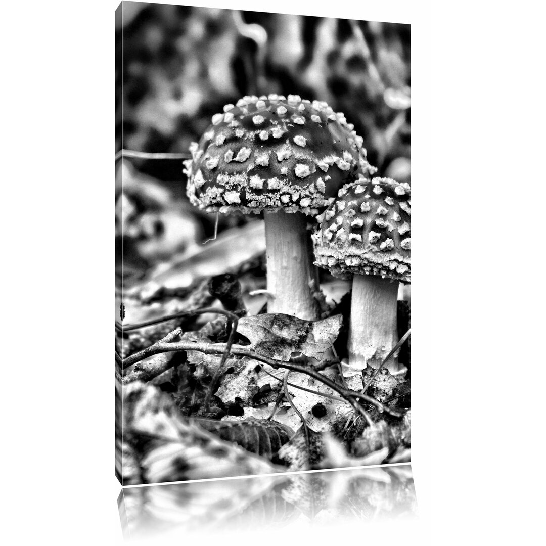 Leinwandbild Pilz im Wald in Monochrom