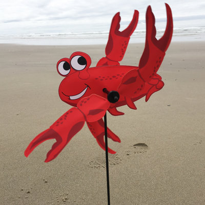 Crabe bébé tourbillon