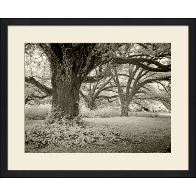 A Quiet Place III Print