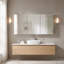Surface and Recessed Medicine Cabinet-133230120