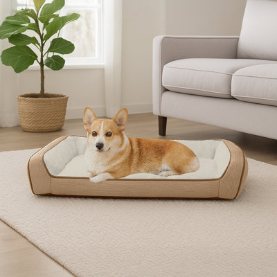 Lit pour chien Ace