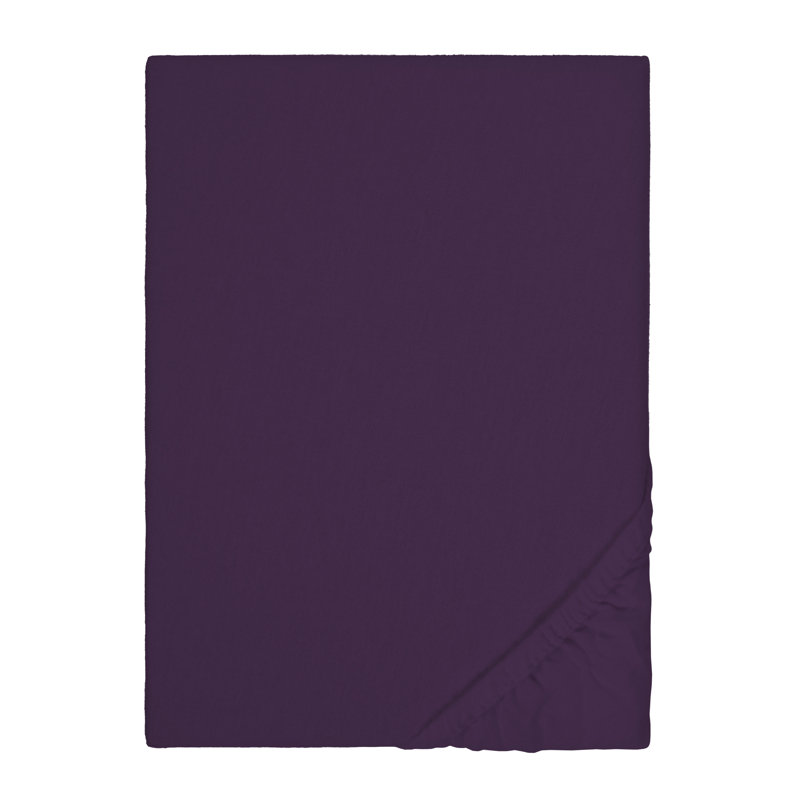 Fine Plain 165 Thread Count 100% Cotton Fitted Sheet, European Double (140 cm x 200 cm), Dark Violet