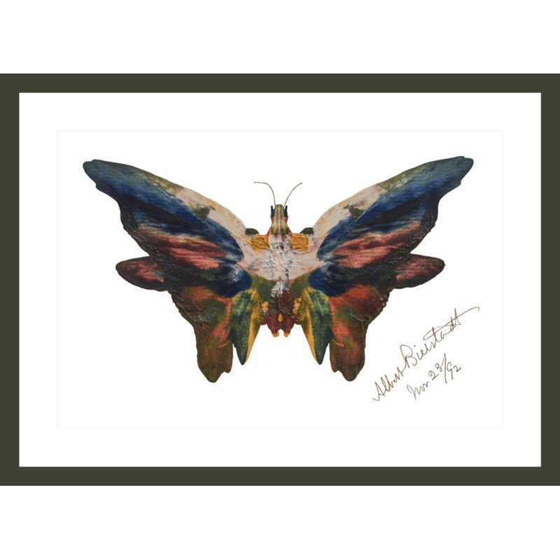 «ButterflyAlbert Bierstadt», estampe numérique encadrée, H 21,7 po x l 29,5 po