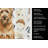 Tawny Briard Coffee Bar Kitchen Towel-1168063375