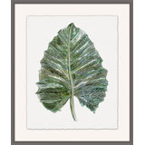 Foliage Study 3 Print