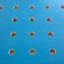 Haggai Pegboard