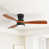 Brun sélectionné
