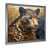 Silver Single Picture Framed