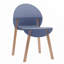 Ensemble de 4 chaises bleues grises avec pieds en bois de chêne rouge et siège en PP, parfait pour les salles à manger et les salons intérieurs-1599203682