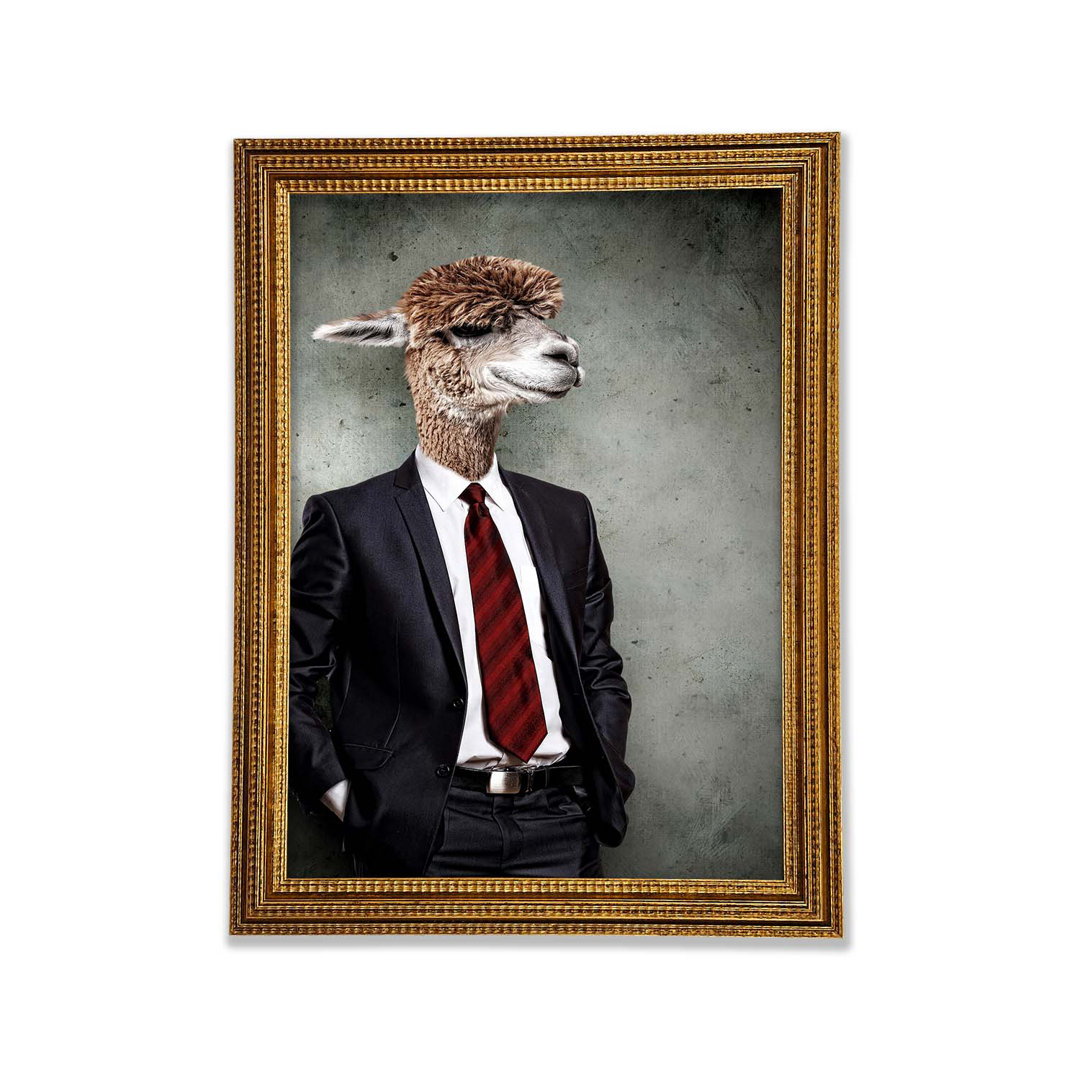 Business Llama Gerahmter Druck