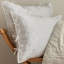 Grace_Quilted Sham-69674372-69674369