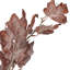 Mulberry Brown Dried Flower Bunch-119034007-119034006