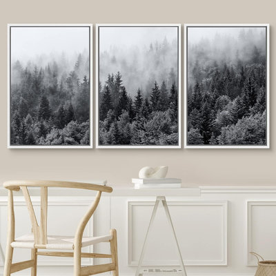 Misty Forests of Evergreen Coniferous Trees in an Ethereal Landscape - 3 Piece Canvas Photograph Print