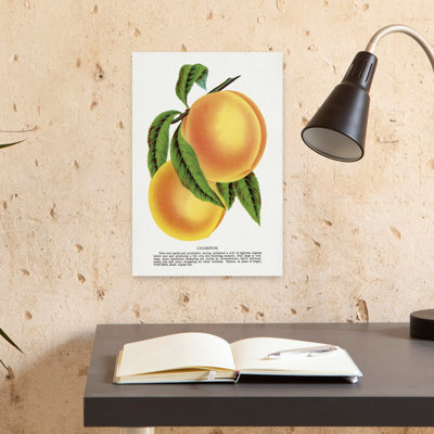 Art mural rétro fleur prune