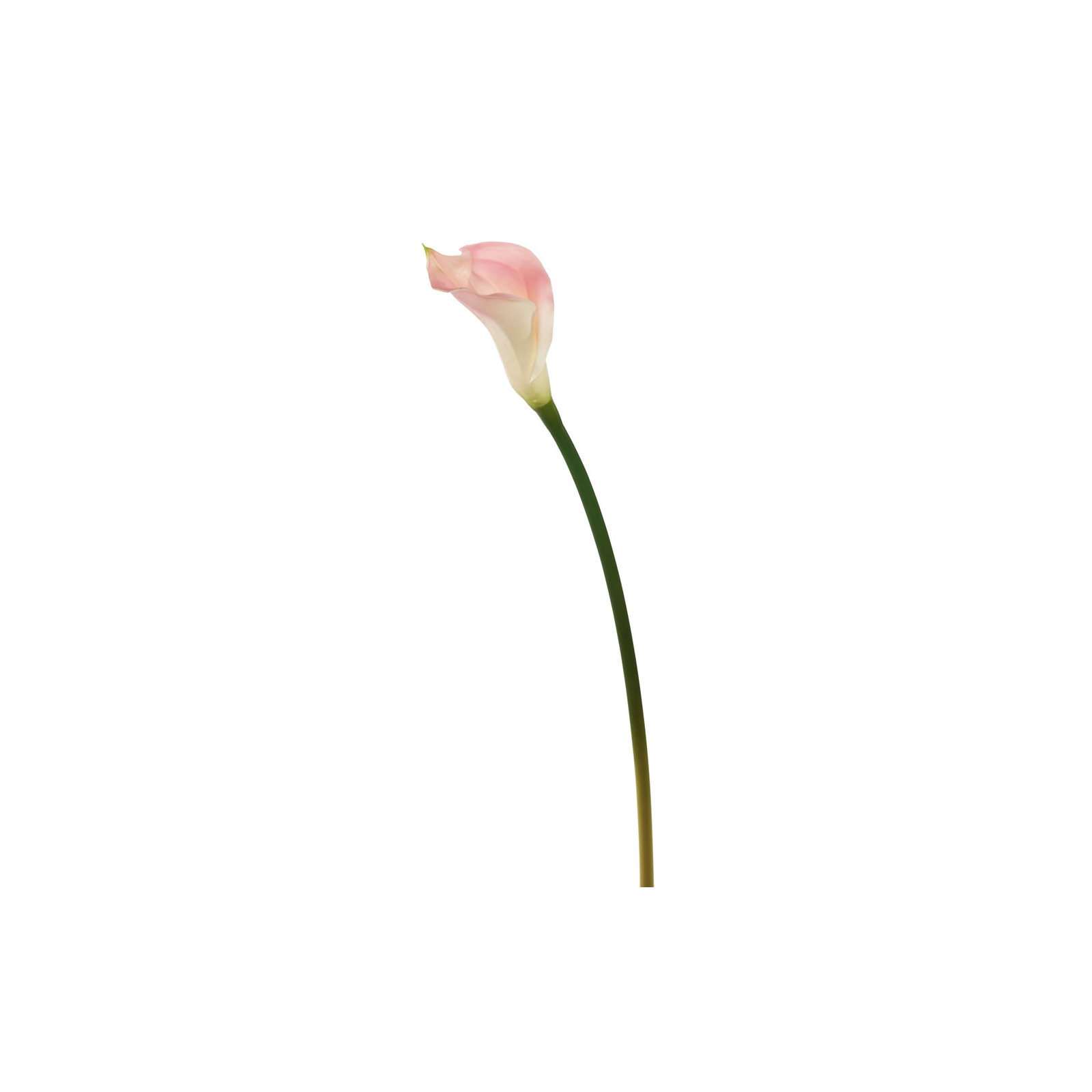 26" Artificial Calla Lily Stem, Pink, 26" H x 3" W x 3" D