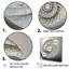 «Silver Swirl Shell Fish I», reproduction sur toile-1478579035-1478579034