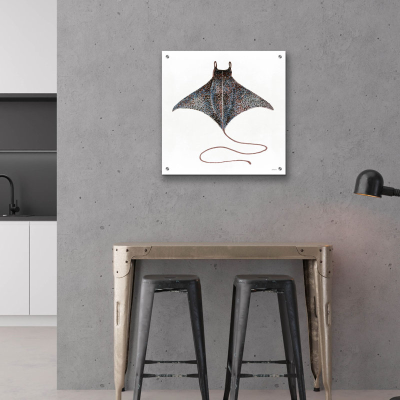 'Eagle Ray 2' by Stellar Design Studio, Acrylic Glass Wall Art, 24" H x 24" W x 0.2" D