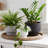 3-Piece Set PE Tiered Cylindrical Planters
