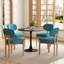 Ensemble de table de salle à manger 31,5 "avec chaises rembourrées Dearing-132210698-132210701-132210707