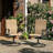 Swivel Patio Dining Armchair (Set of 2)-1388842540