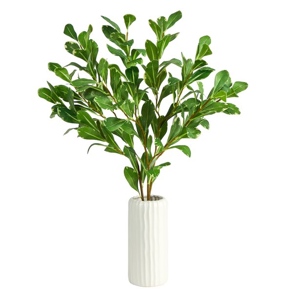 Primrue 21'' Faux Salal Plant in Ceramic Planter | Wayfair