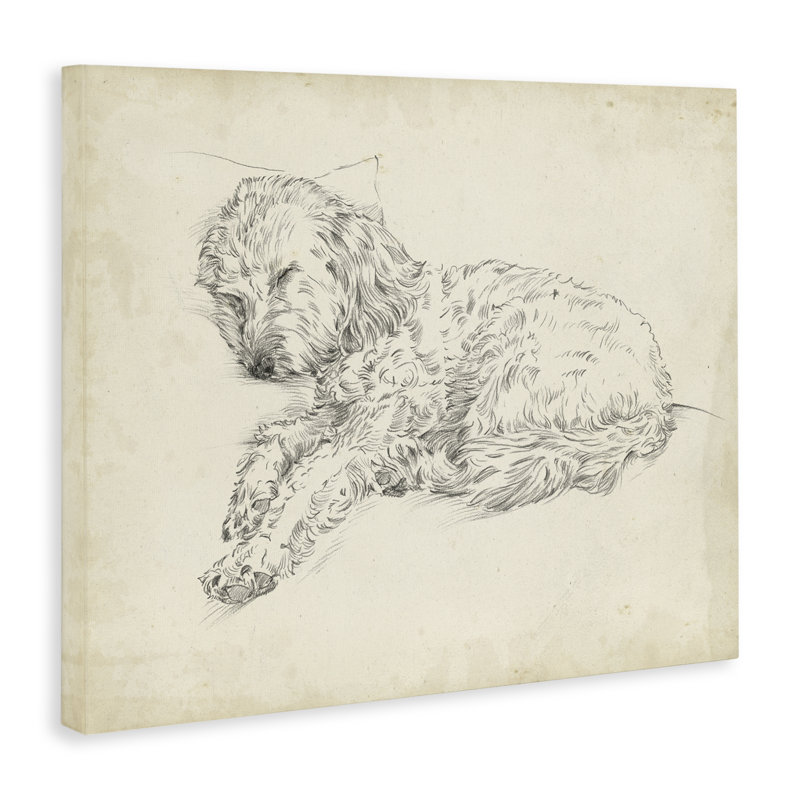 Art mural sur toile, "Antique Sleeping Dog", par Ethan Harper, H 36 po x l 48 po
