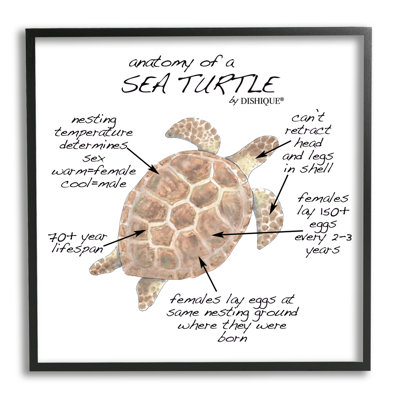 Tortue de mer, art de la vie marine, giclée, art texturé par vaisselle