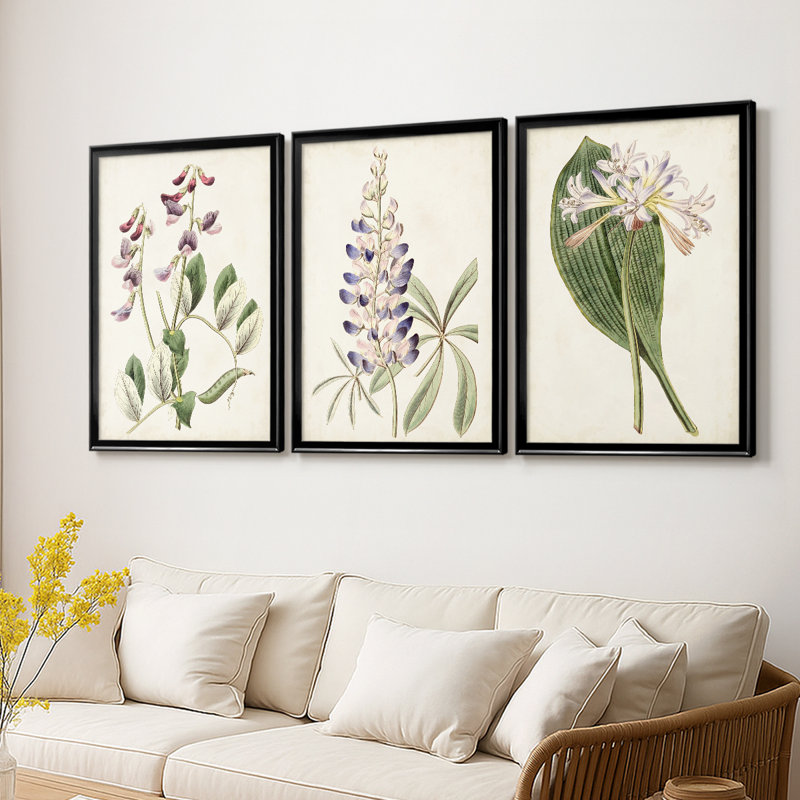 Antique Botanical Collection I - Toile tendue avec châssis sur mesure - 3 pièces, H 27 po x l 39 po, Noir