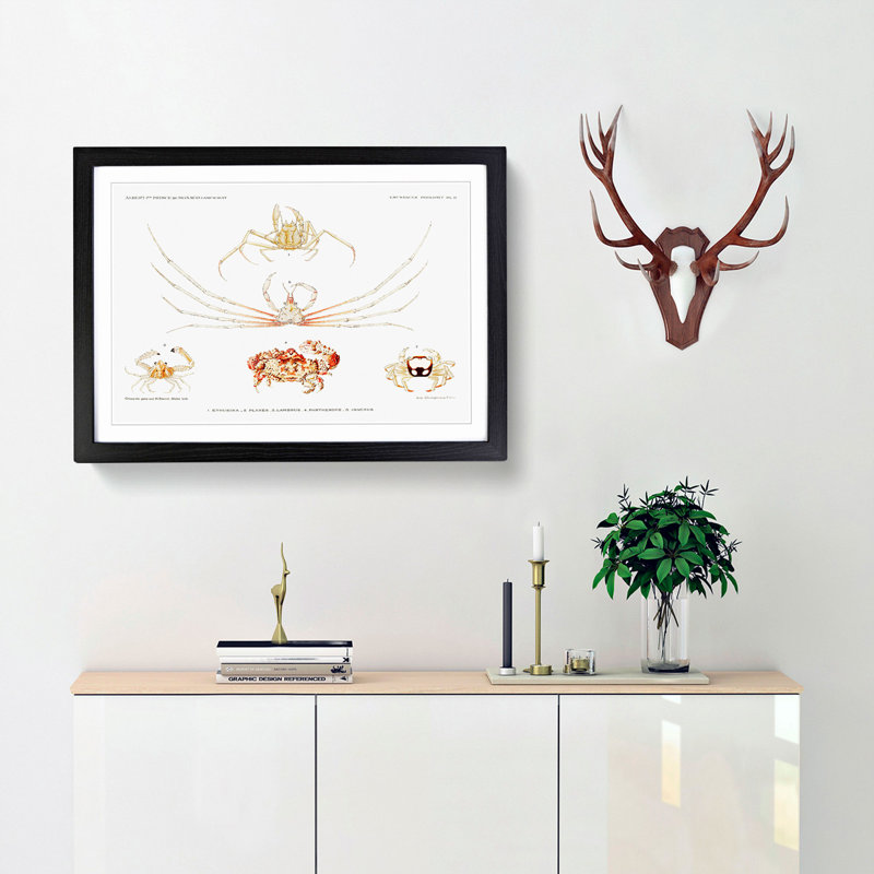 Crab Varieties by Albert I - Framed Print, 27cm H x 36cm W x 2cm D, Black Framed
