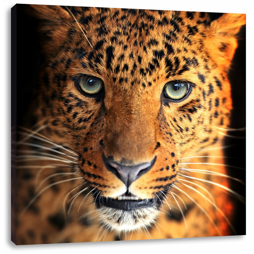 Leinwandbild Stolzer Leopard