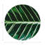 Sous-verres ronds en cuir tropical-119015389