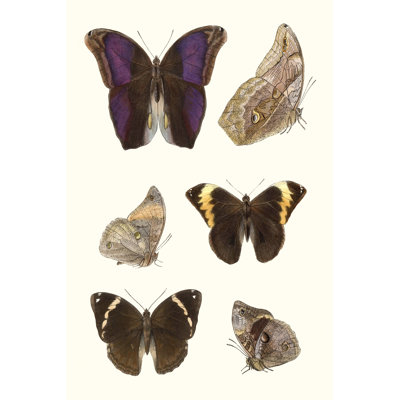 Violet Butterflies II - Wrapped Canvas Print