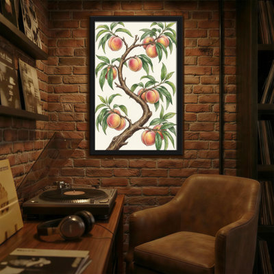 Plantes et fleurs - Branche de pêcher avec des fruits qui mûrissent
