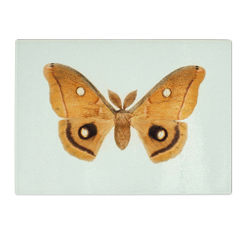 Tempered Glass Polyphemus Moth by S.F. Denton Chopping Board, 39 cm W x 28.5 cm L