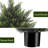 Artificial Cedar Trees
