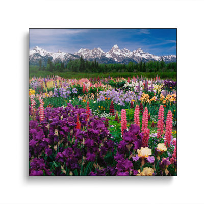 Reproduction d'art sur toile, Steemplix