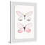 Pink Pair - Single Picture Frame Print-1584847947