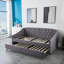 Casares Upholstered Velvet Daybed with Trundle Bed-1606935578
