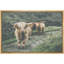 Animaux lavés en Écosse Highland Country Cow-93629607-93629606