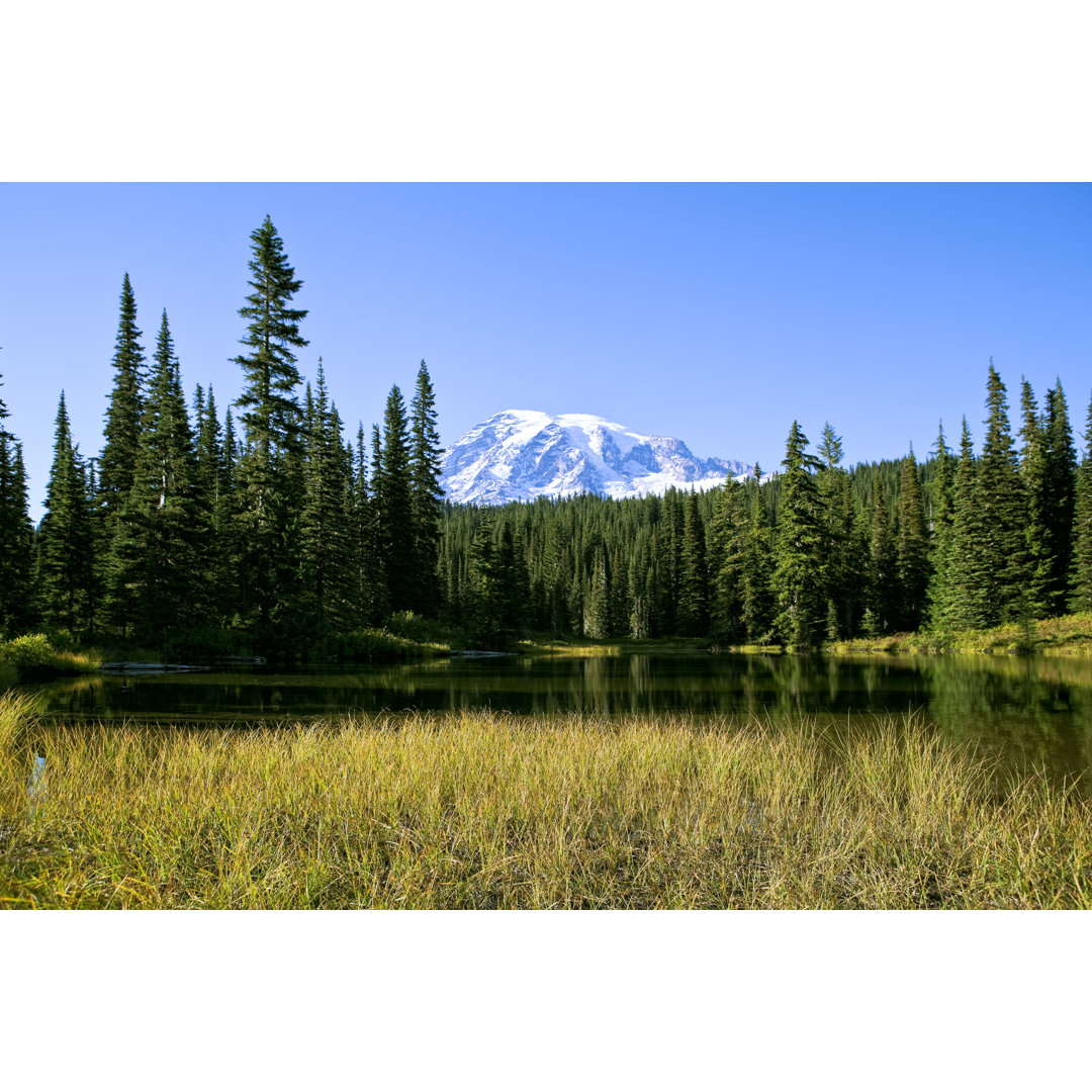 Mount Rainier bei Urbanglimpses - Druck