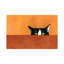 You'Re Being Watched by Jamie Morath - Print on Canvas-1627695851-1627695847