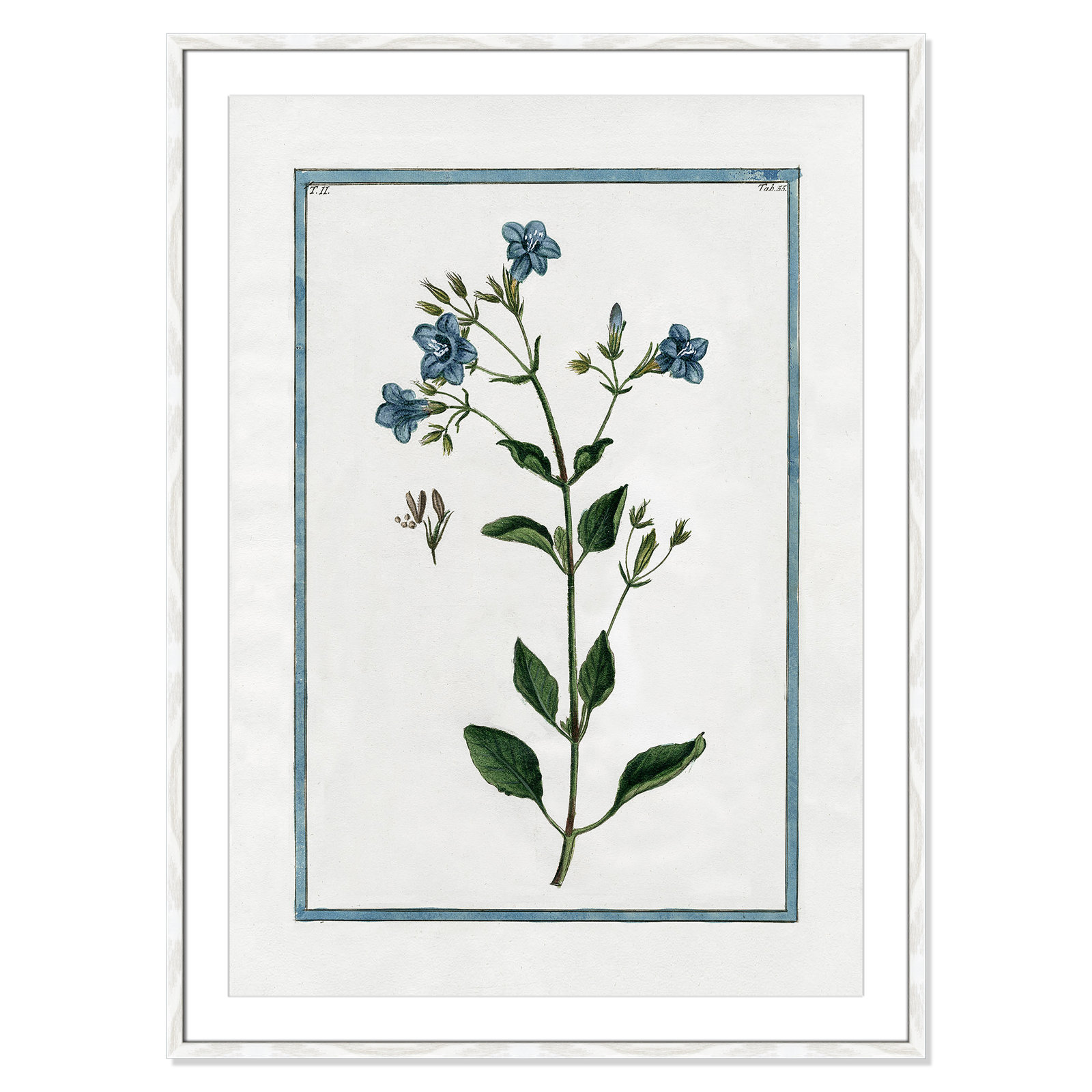 Colombe "Shabby Elegance Botanical II" Print, 29.5" W x 41.5" H, White Framed
