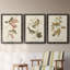 Oiseau de riz Wandering, reproduction d'art sur toile-1813864136-1813864139