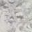 Dittman Machine-Woven Abstract Gray Area Rug-260350351