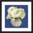 " White Hydrangeas I " by Emma Scarvey Painting Print-1180489754-1089876456