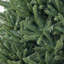 Sapin de Noël vert extra plein-496821970