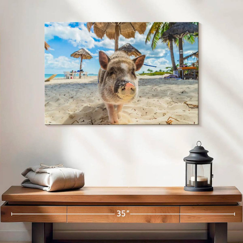 Crowle cochon sale sur la plage, H 16 po x l 24 po
