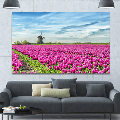 " Traditional Holland Countryside "